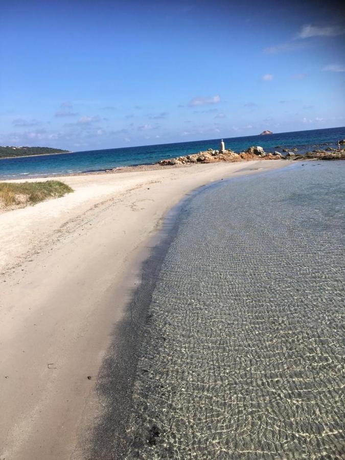 Appartement La Corse Les Pieds Dans L'eau Pinarellu